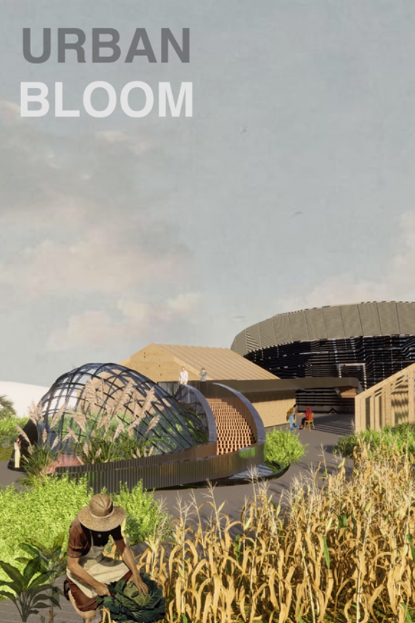 Urban Bloom