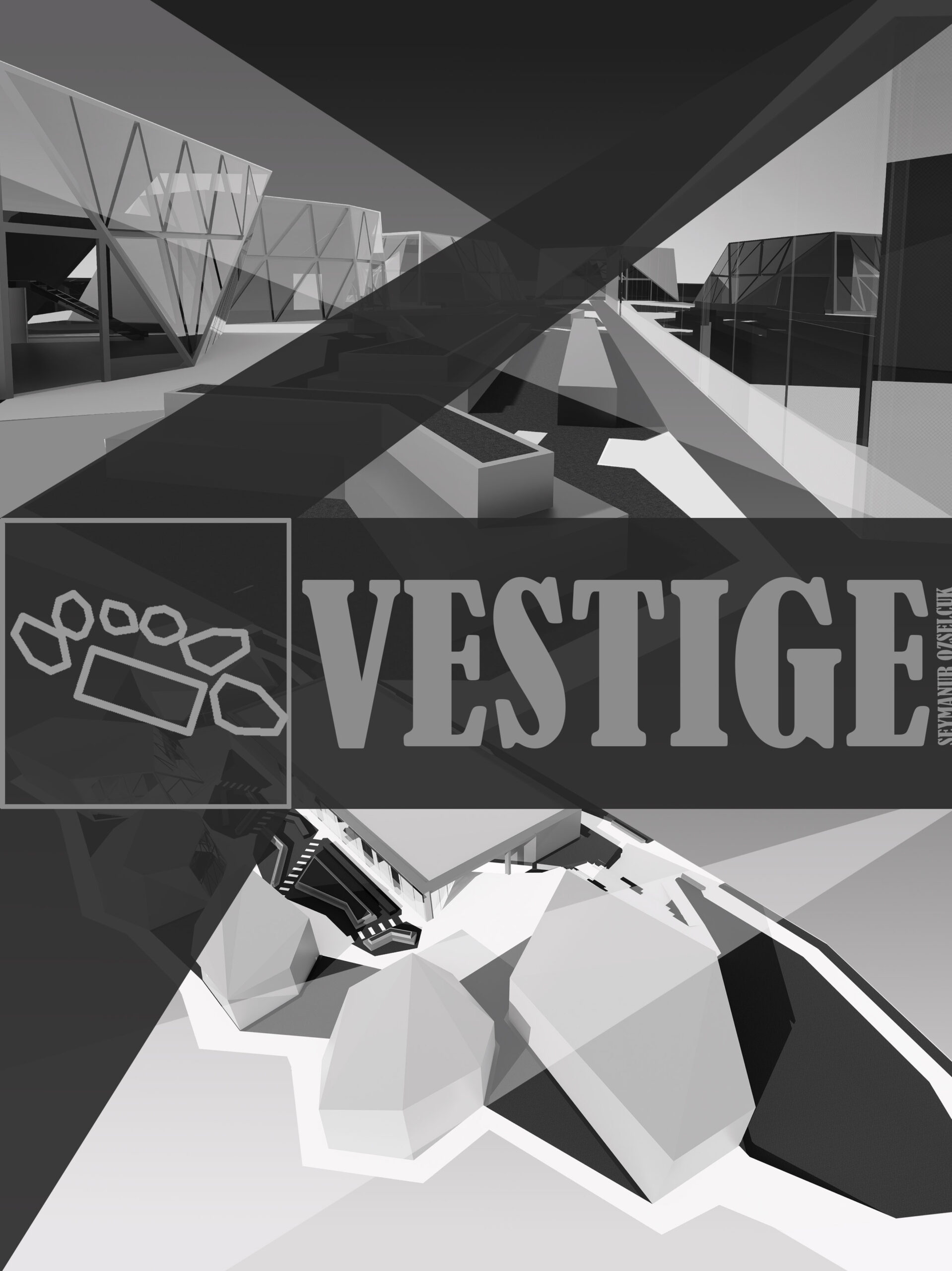 VESTIGE / Şeymanur Özselçuk