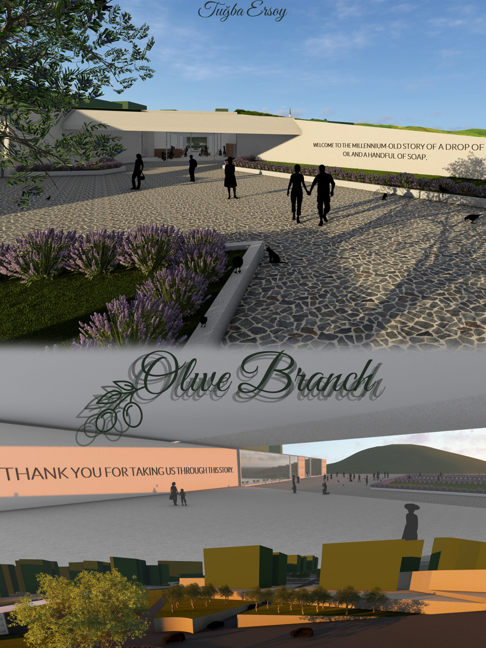 OLIVE BRANCH / Tuğba Ersoy