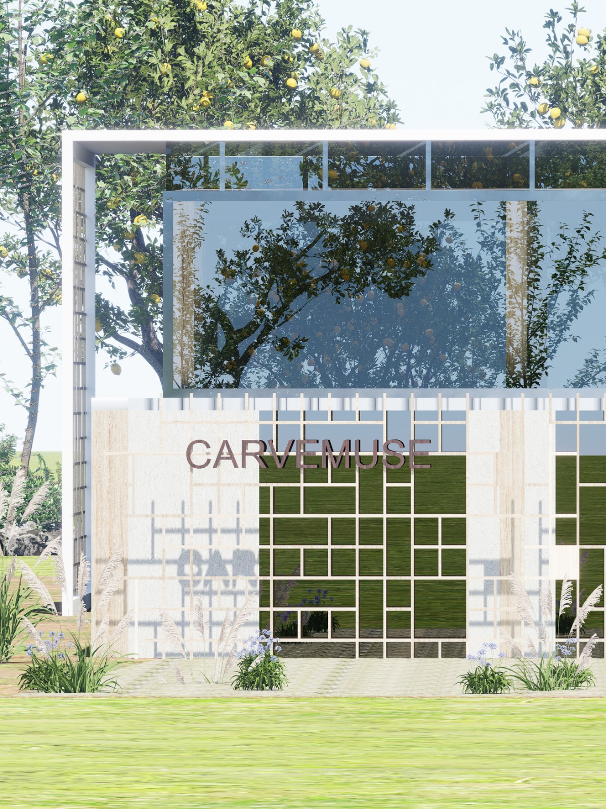 CARVEMUSE / Aliye Sultan Öztemir