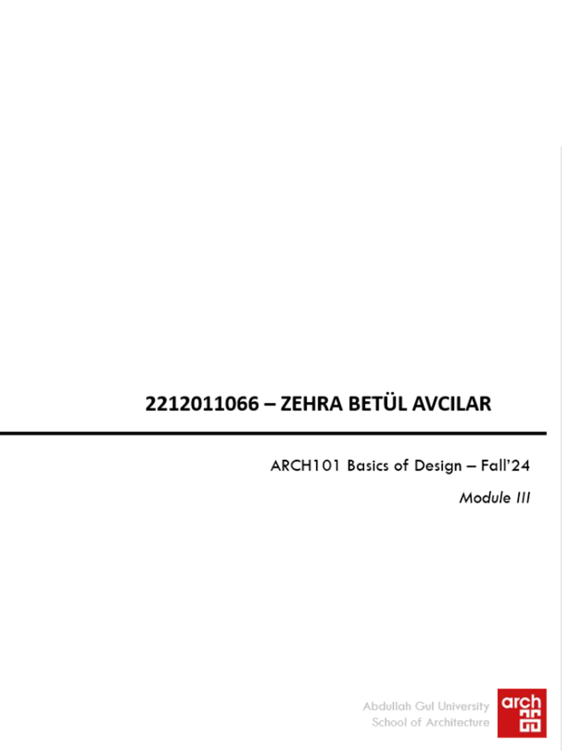 Donkey Kong / Zehra Betül Avcılar