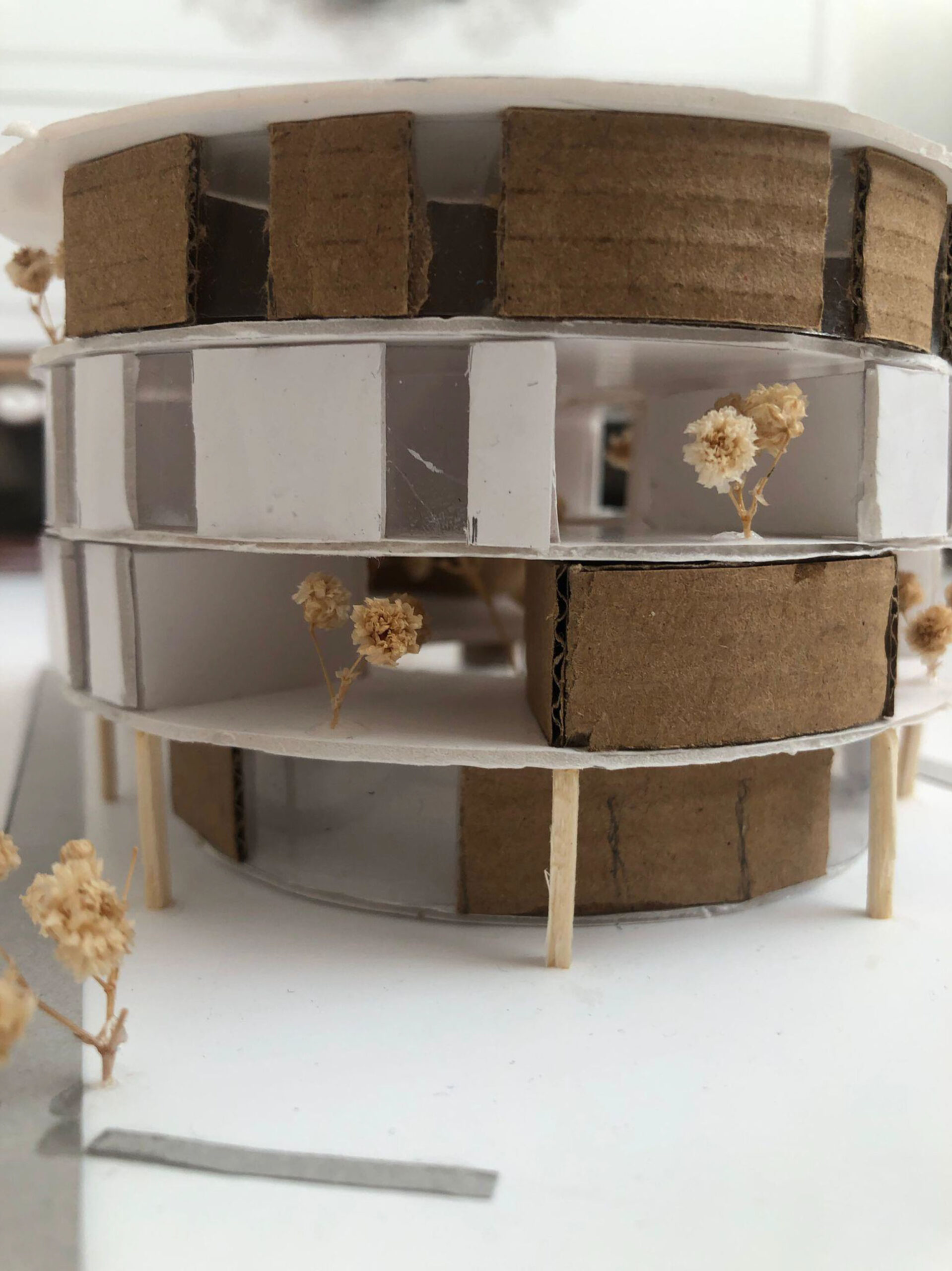 BICIRCLE / Büşra Temir