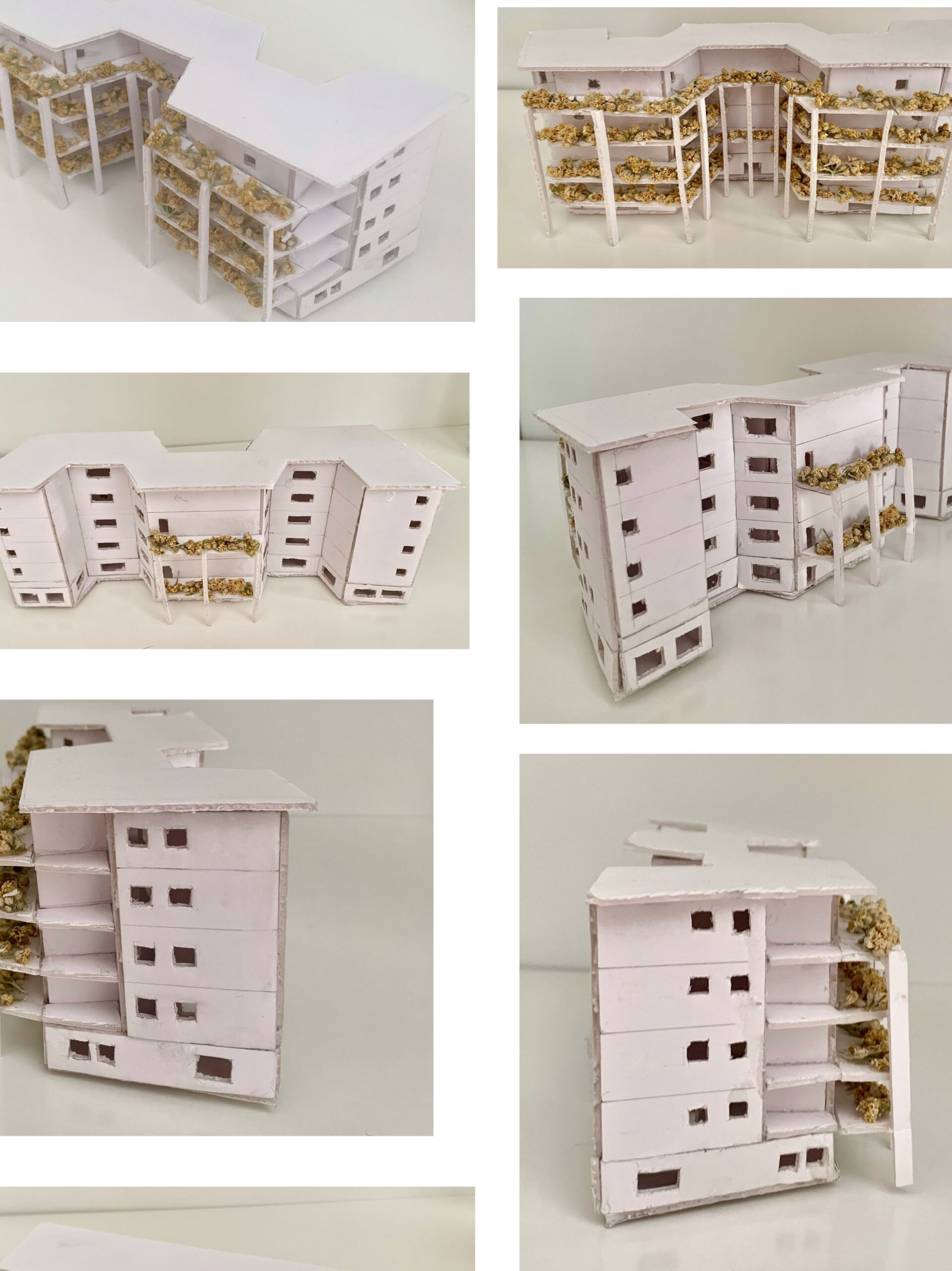 LIVES SPROUTING ON TERRACES / Ezgi Öztürk