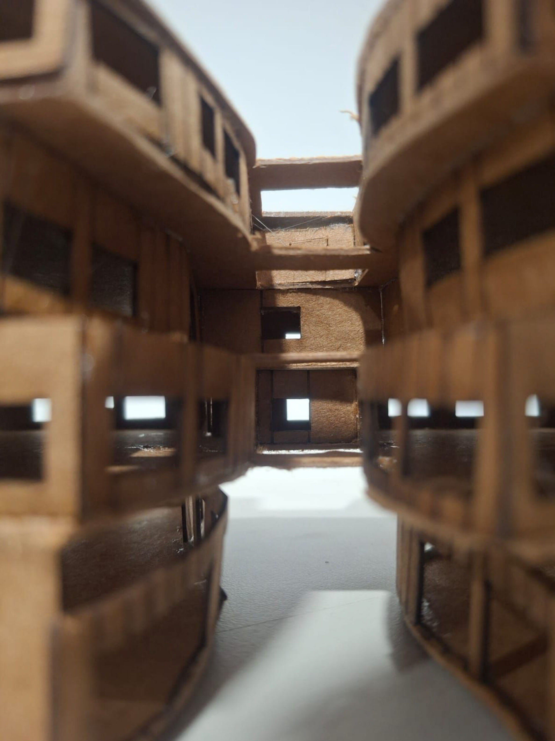 BIOCRANK COLLECTIVE / Hasan Şerif