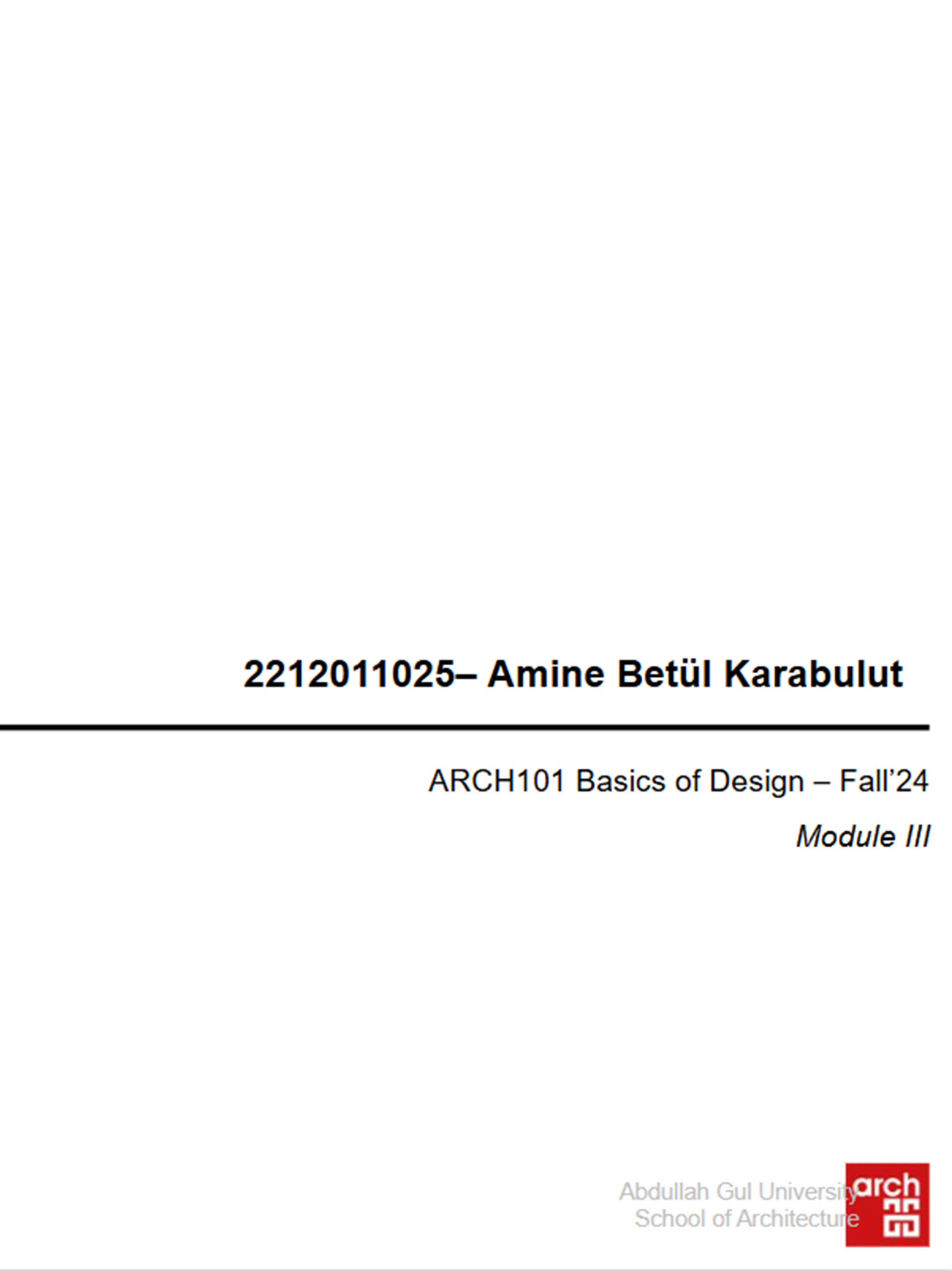 The New Zealand Story / Amine Betül Karabulut