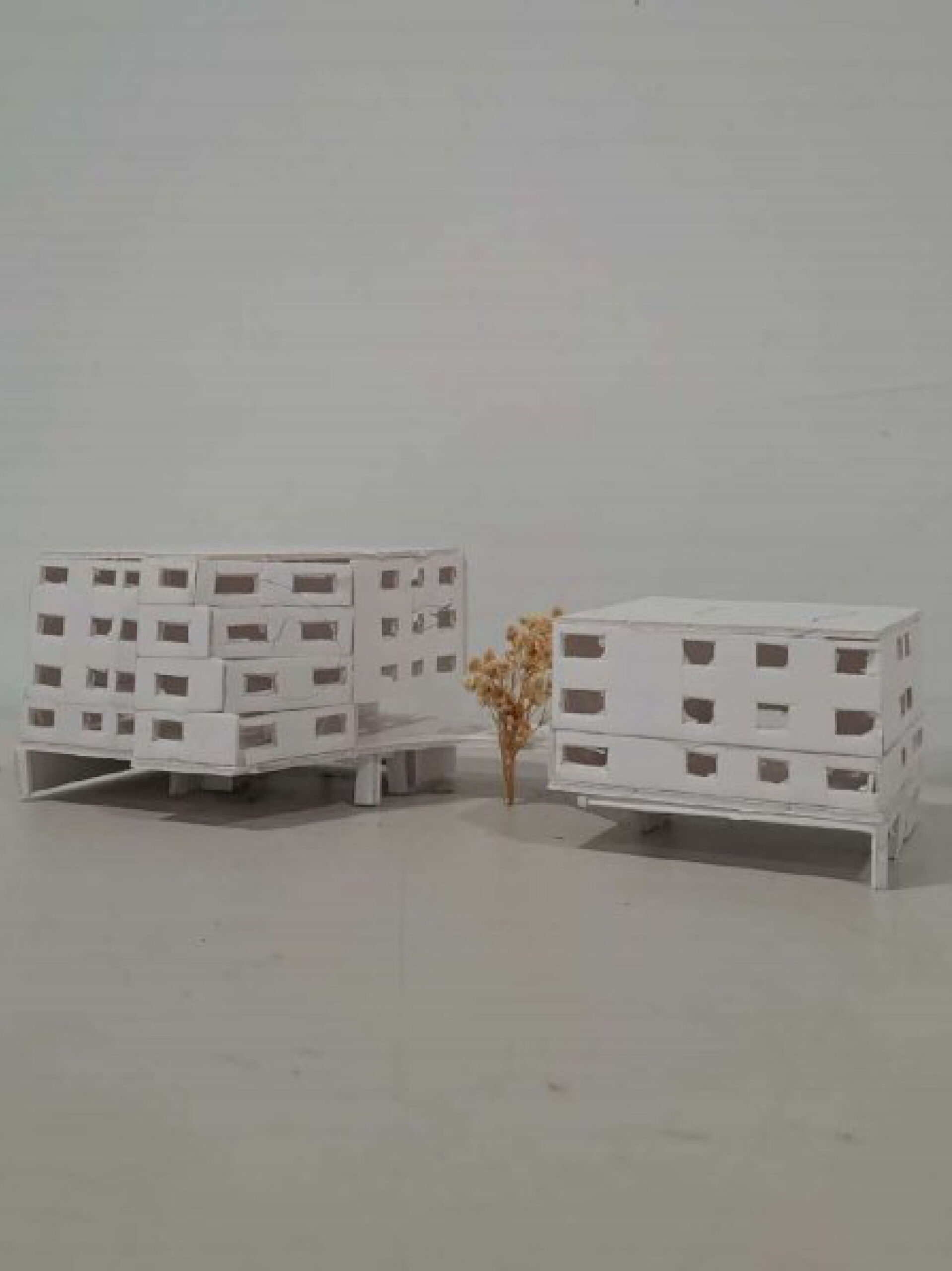 CULTURAL DYNAMISM / Semih Karadağ