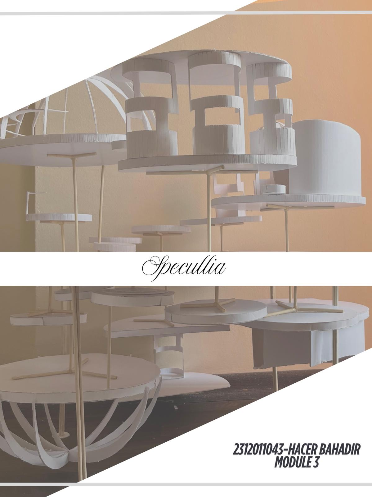 SPECULLİA / HACER BAHADIR