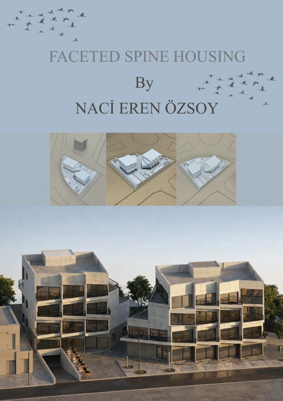 Faceted Spine Housing / Naci Eren Özsoy 