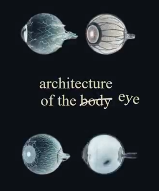 PHENOMENOLOGY / ARRAYAN MUHAMMAD PASHA