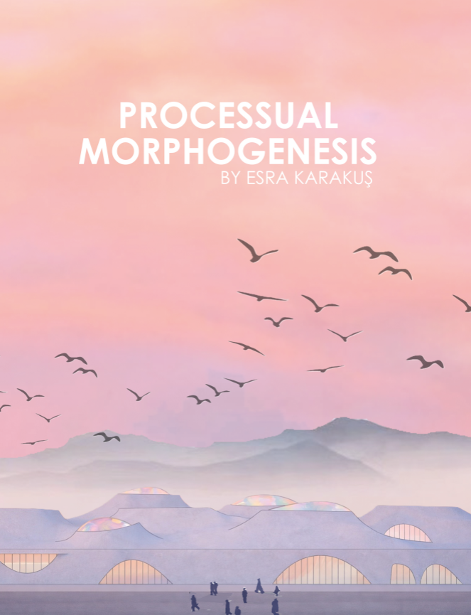 PROCESSUAL MORPHOGENESIS  / ESRA KARAKUŞ