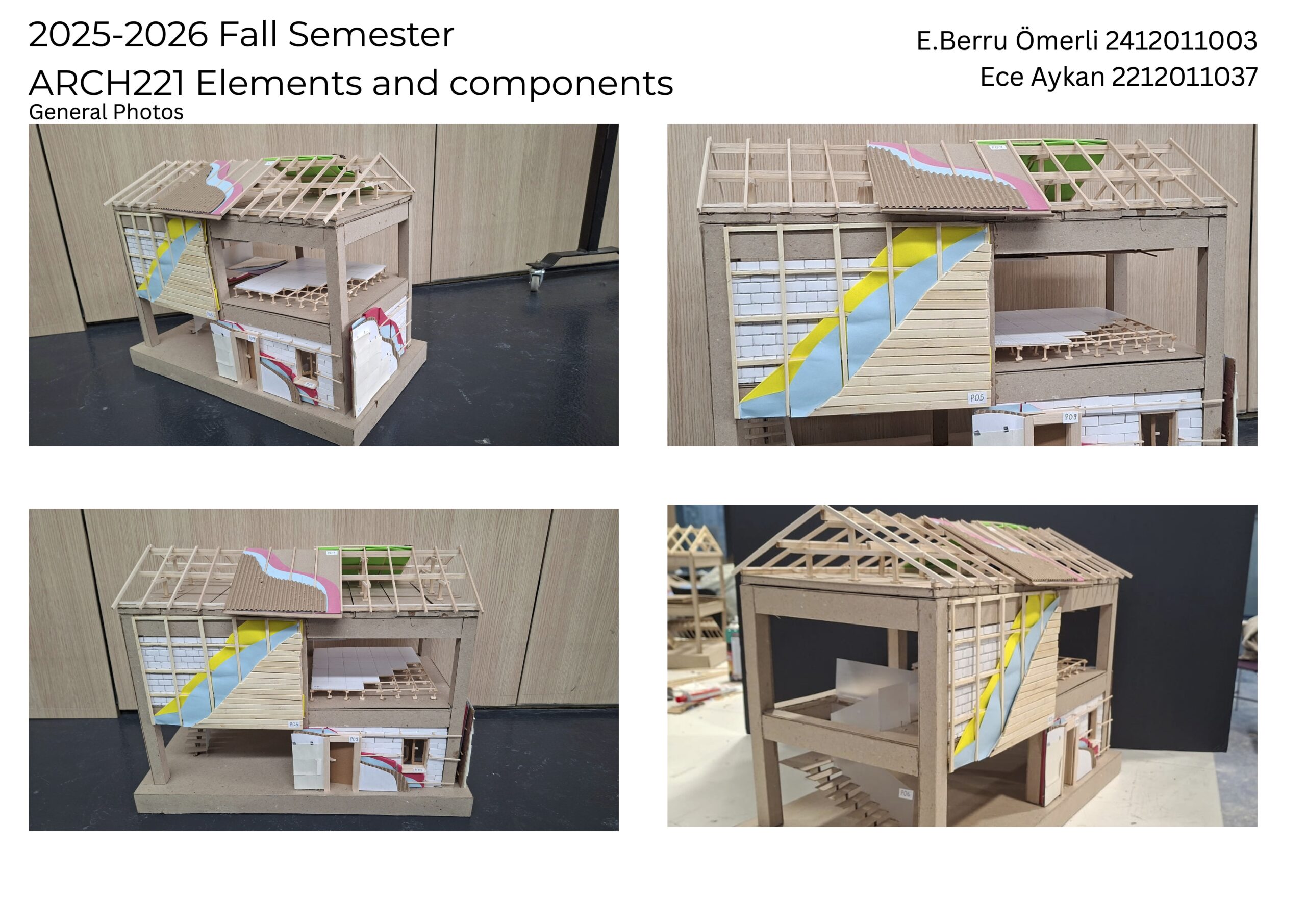 E. BERRU ÖMERLİ / ECE AYKAN