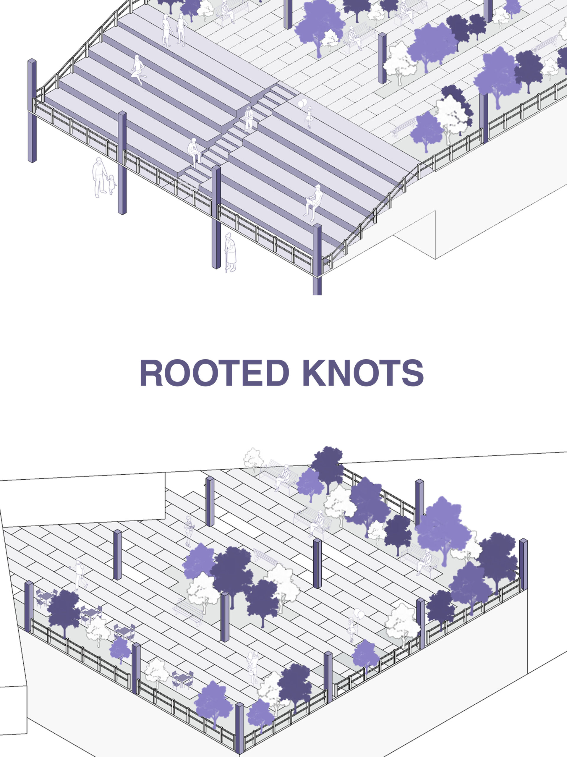 ROOTED KNOTS / GÖKSU YILDIRIM